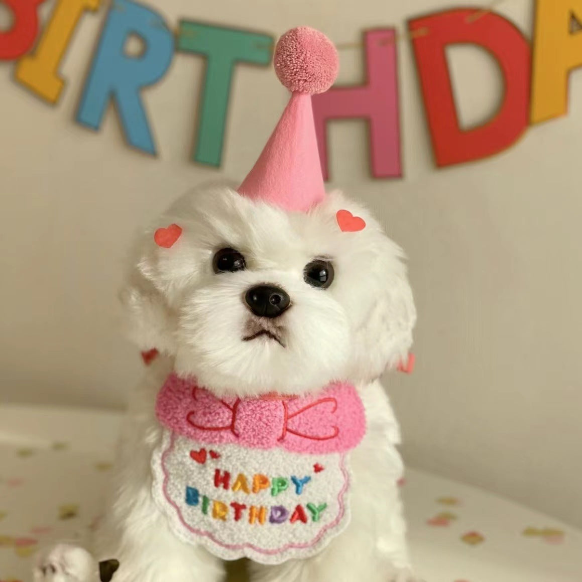 Party Birthday Hat Bib Dog Cat Pet Saliva Pocket Saliva Towel Bichon Frise