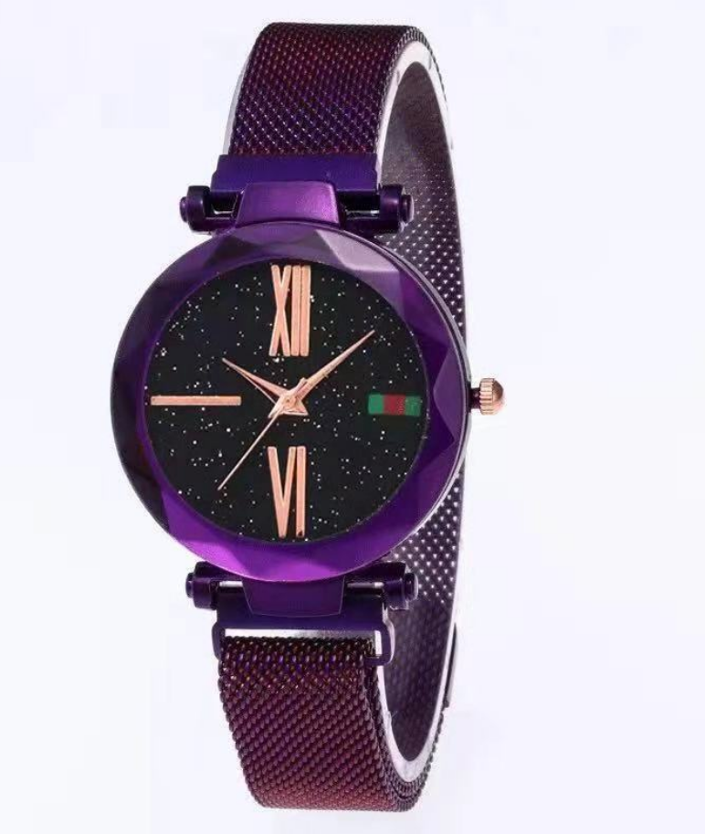 Luxury Mesh Magnet Buckle Watch