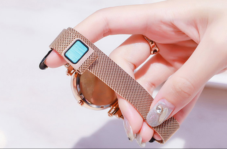 Luxury Mesh Magnet Buckle Watch