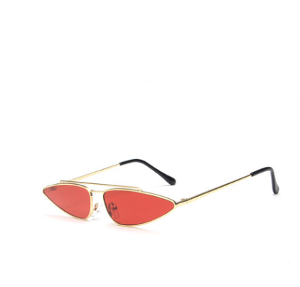 Vintage Double Metal Frame Sunglasses