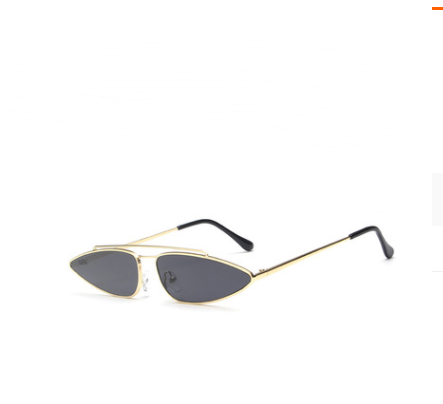 Vintage Double Metal Frame Sunglasses