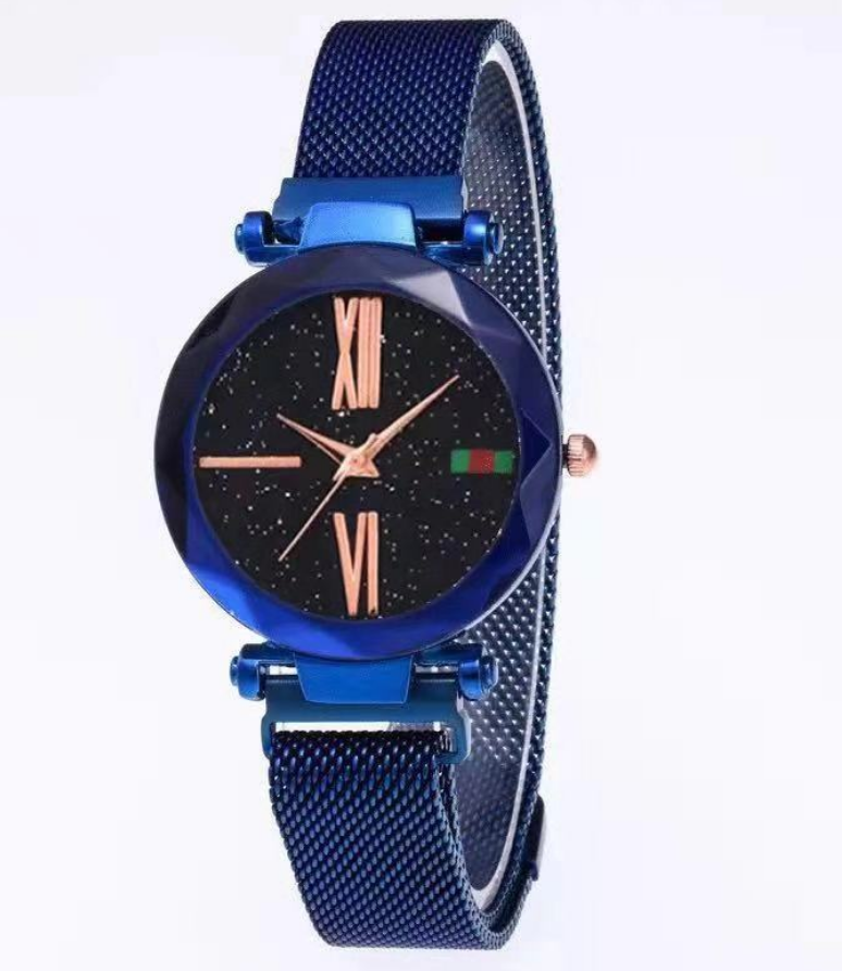 Luxury Mesh Magnet Buckle Watch