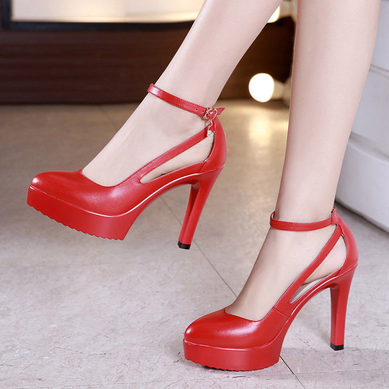 Pointed Toe Stiletto High Heels