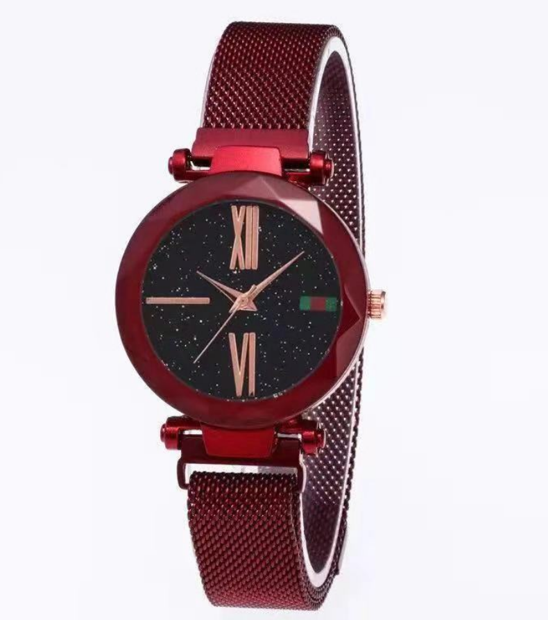 Luxury Mesh Magnet Buckle Watch