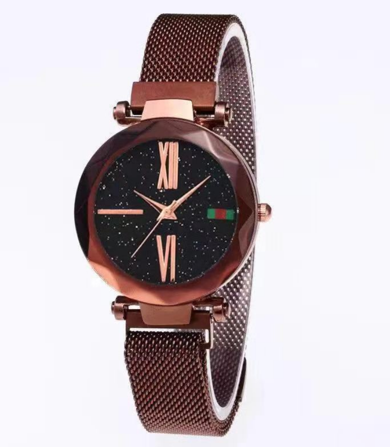 Luxury Mesh Magnet Buckle Watch