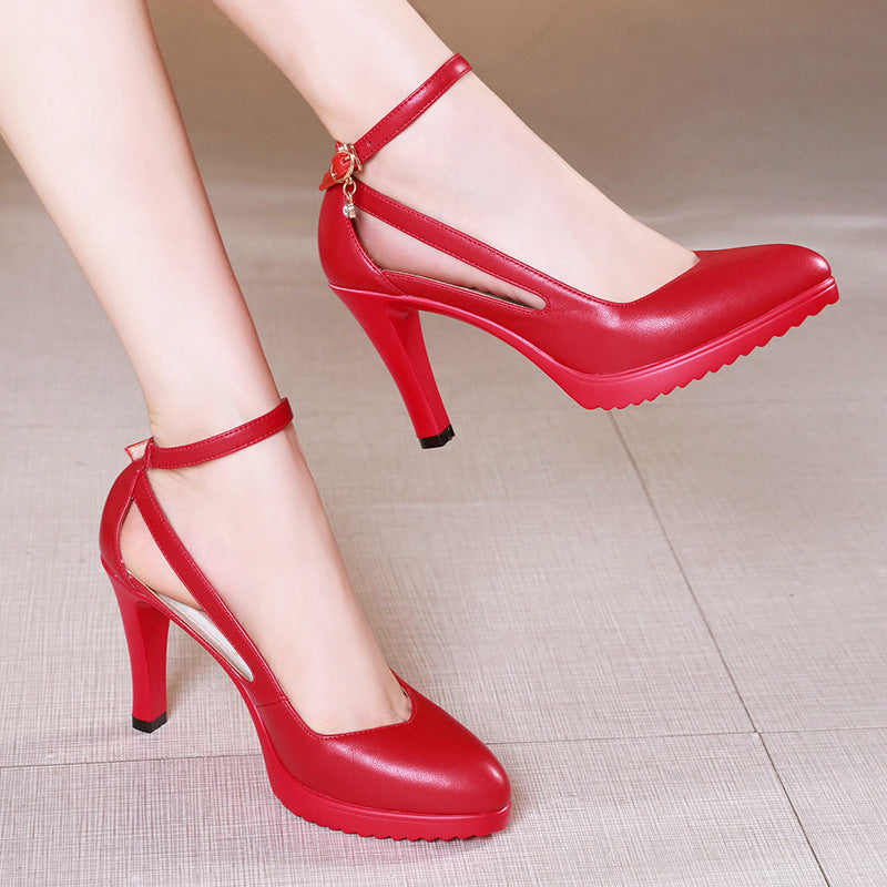 Pointed Toe Stiletto High Heels